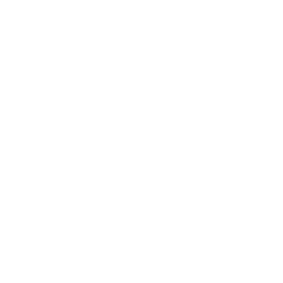 feature-item-4