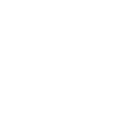 feature-item-3