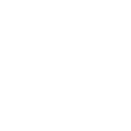 feature-item-2