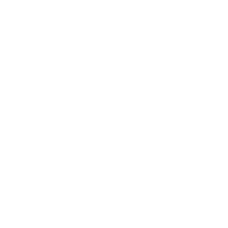 feature-item-5